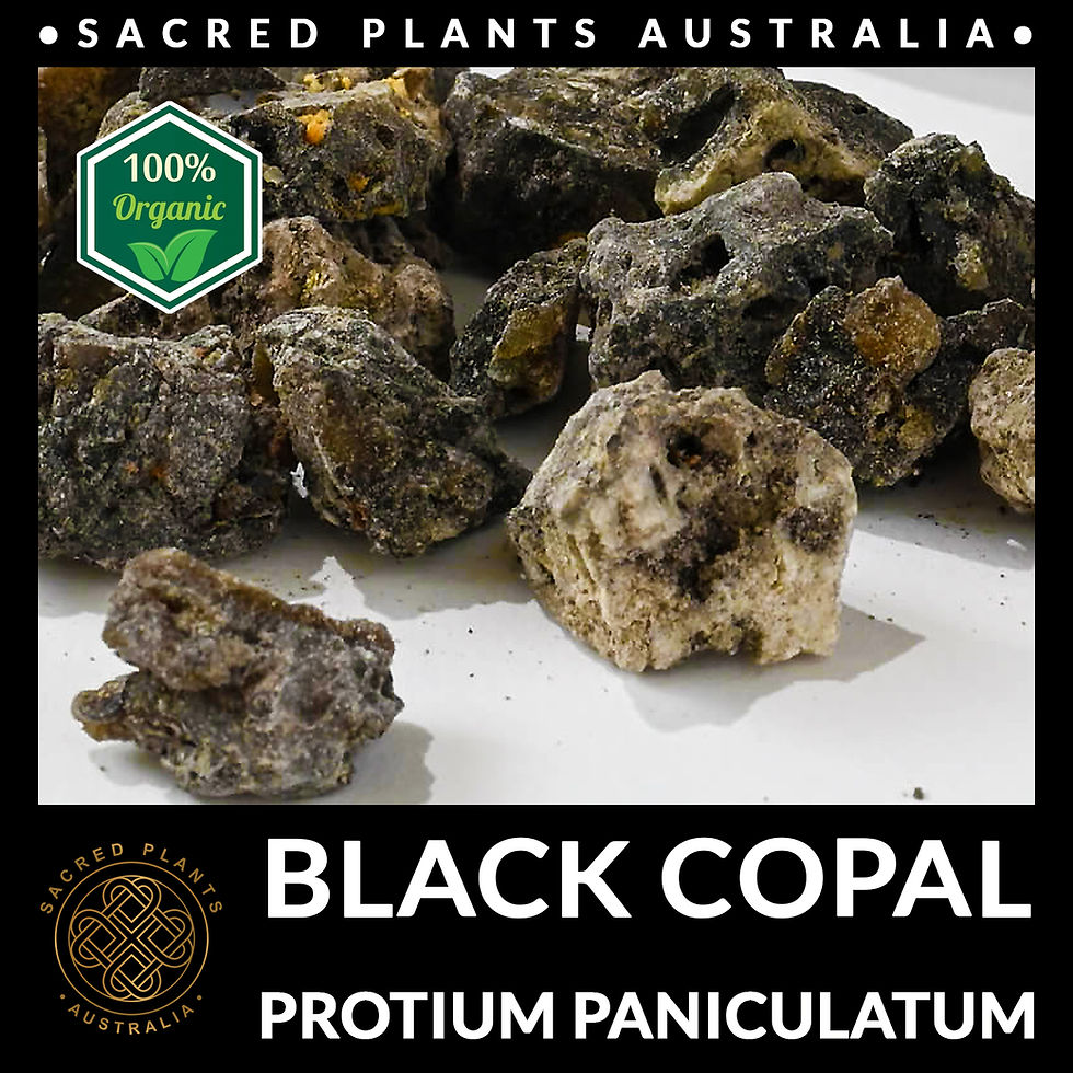 Thumbnail: Black Copal Resin Chunk - Perfect for Smudging, Energy Clearing, and Sacred Spaces