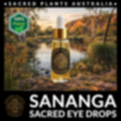 SANANGA Eye Drops | Tabernaemontana undulata