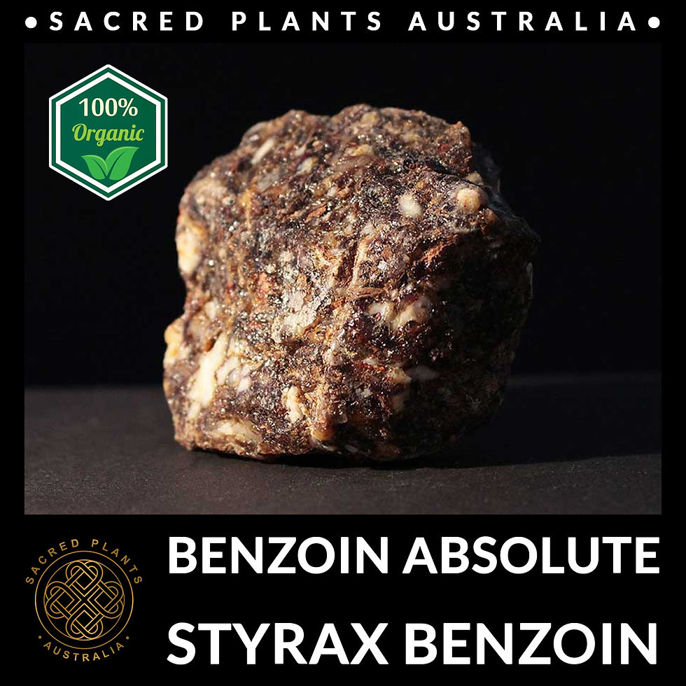 Thumbnail: Benzoin Absolute on a black table with resin pieces. Benzoin Absolute, ideal for aromatherapy.