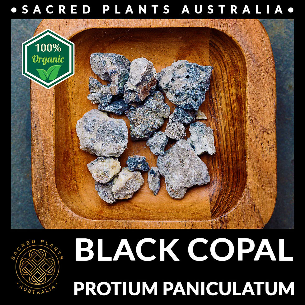 Thumbnail: Black Copal Resin. A Sacred Incense for Spiritual Connection and Grounding
