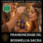 Thumbnail: Medicinal frankincense resin oil infused in coconut MCT for skin support meditation and prayer