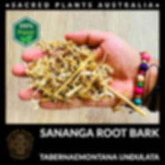 Dried Sananga Root Bark (Tabernaemontana undulata) showing its natural, rough texture and earthy tones for holistic health.