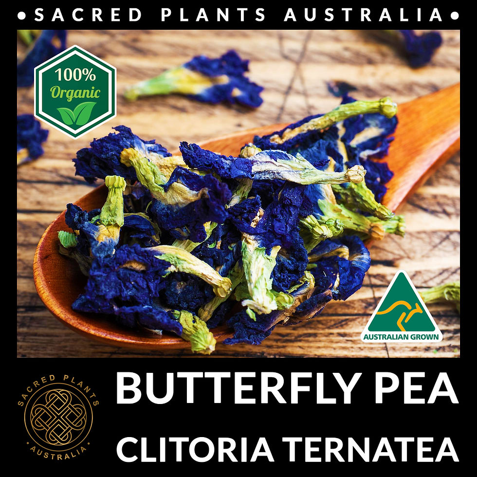 Thumbnail: Dried Butterfly Pea Flowers: A ladle of dried Butterfly Pea flowers, ready to be used in teas or other applications.