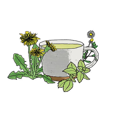 Dandy Mint | Inspired Earth