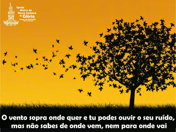 O vento sopra onde quer e tu podes ouvir o seu ruído, mas não sabes de onde vem, nem para onde vai