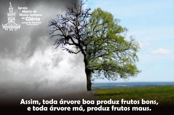 Assim, toda árvore boa produz frutos bons, e toda árvore má, produz frutos maus.