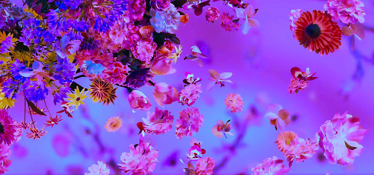 BLOOM_ColorNew_005_Logos.00_00_22_00.Sti