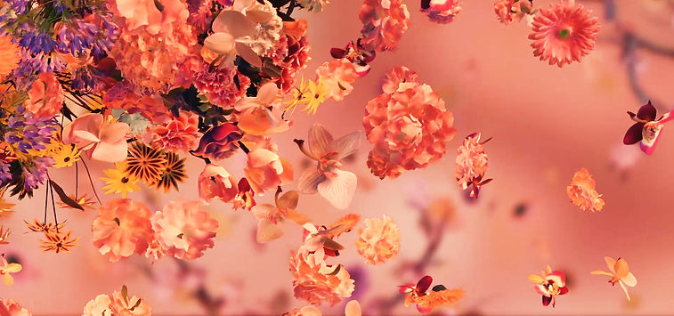 BLOOM_ColorNew_005_Logos.00_00_13_12.Sti