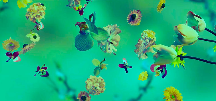 BLOOM_ColorNew_005_Logos.00_01_21_18.Sti