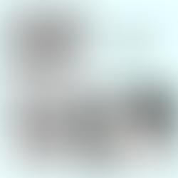 Renaming Project 2025