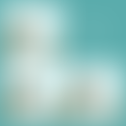 Can I Have a Birthday Party?