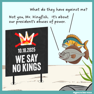 No Kings