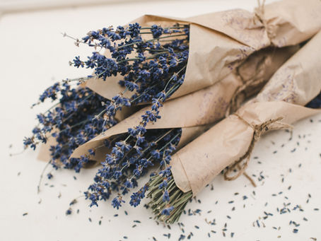 Lavender "The Holy Herb"