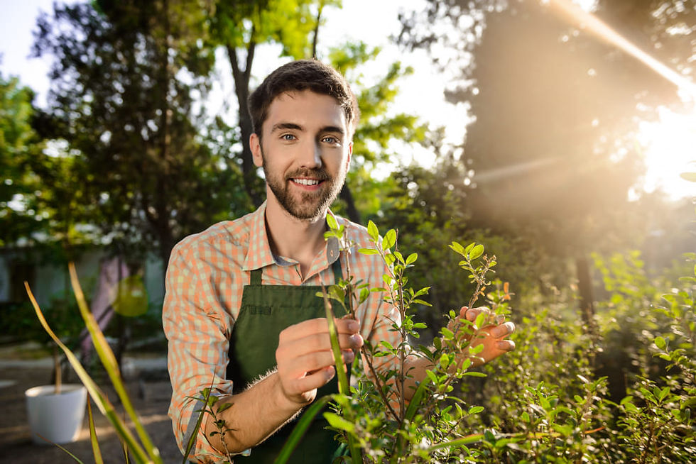 gardener mount eliza