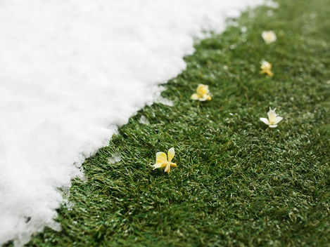 fake grass