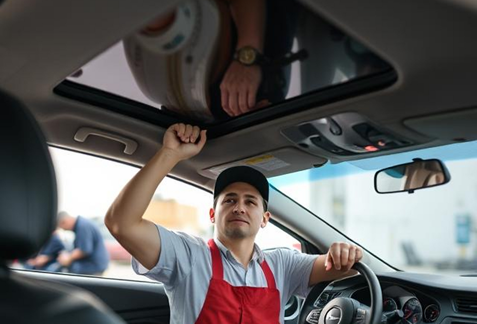 roof lining repair mount druitt