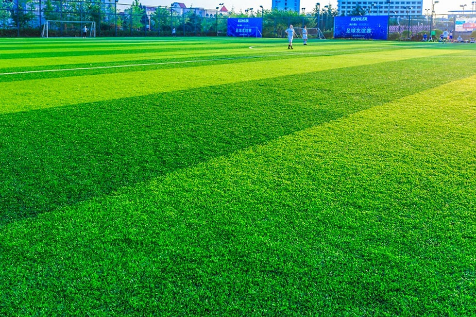 fake grass