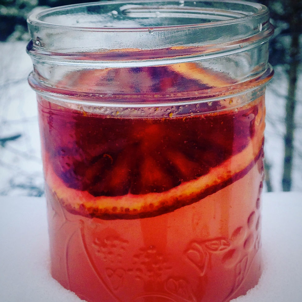monkey weddings & summer sapphires blood orange bourbon cocktail