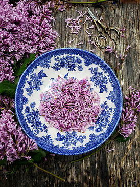 lilac blossoms in a vintage bowl