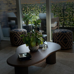 Modern Living Room