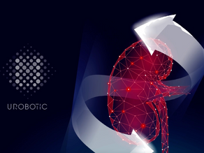 Les reins : la plus grande usine d'épuration du corps