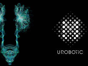 Appareil urinaire et appareil génito-urinaire chez l'homme