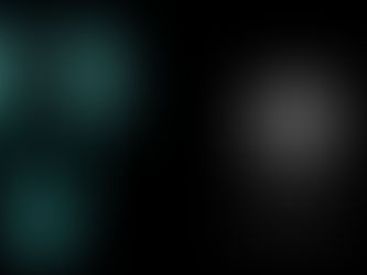 Appareil urinaire et appareil génito-urinaire chez l'homme