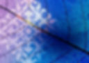 FEUILLE_DETAIL_2 copie.jpg