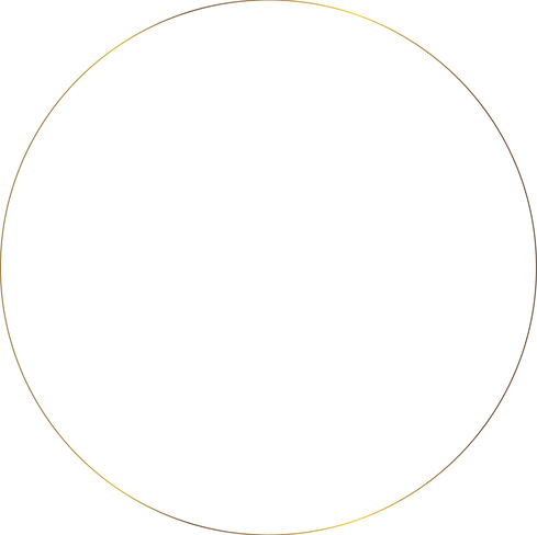 HOLISTICA BY VP ROND