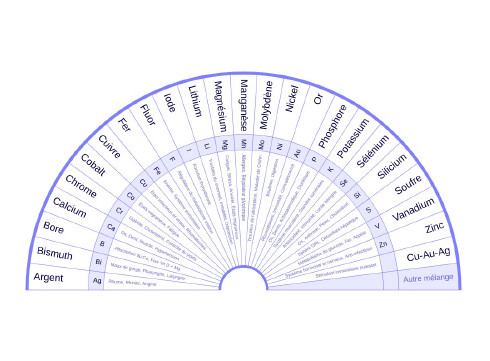 OLIGO_ELEMENT_1VISUEL_3.jpg