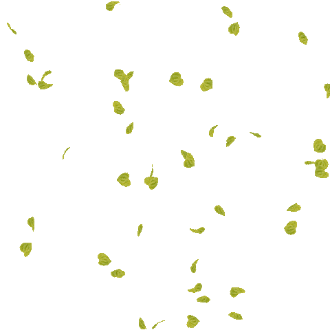 Effet visuel de feuilles tombant, symbolisant la nature et l'origine bio des produits d'Africa Box Cosmetics.