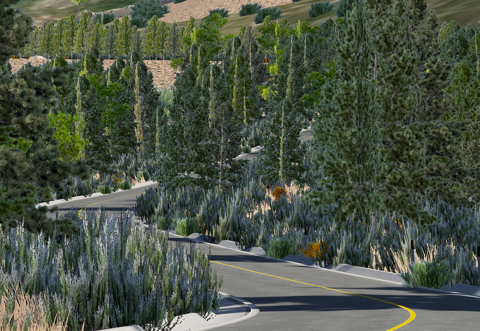 Thumbnail: San Pedro Martir Hillclimb