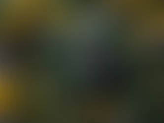 Professional Junk Removal Services in Atlantic County by Adrian's Handyman