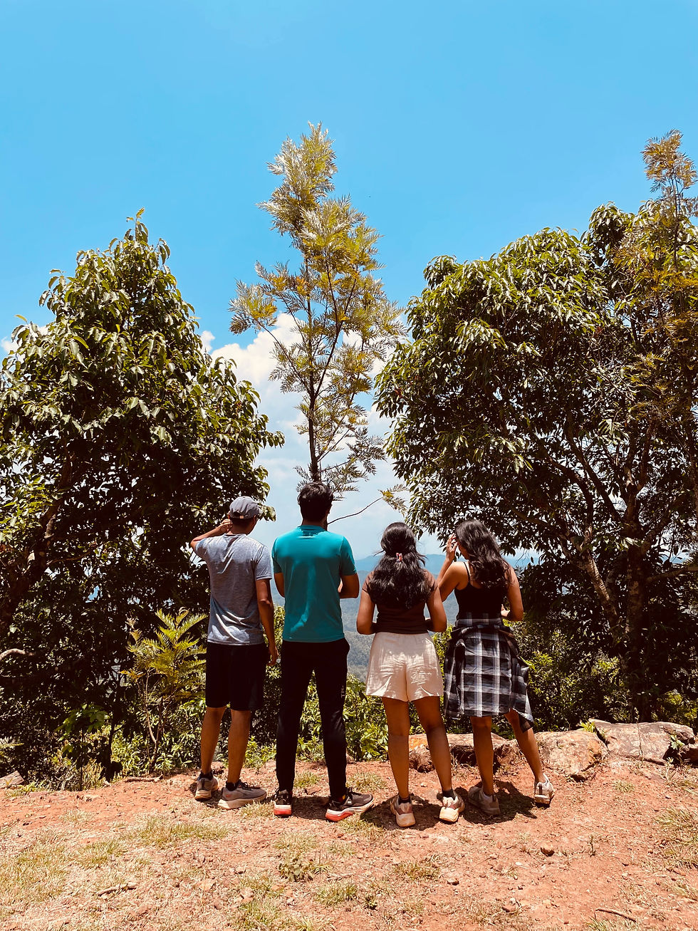 Guests taking in the breathtaking lake view from our vismitha coffee plantation