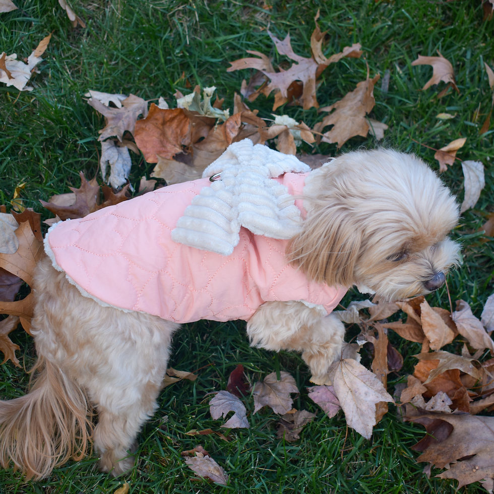 Thumbnail: Lovey Dovey Fleece Vest