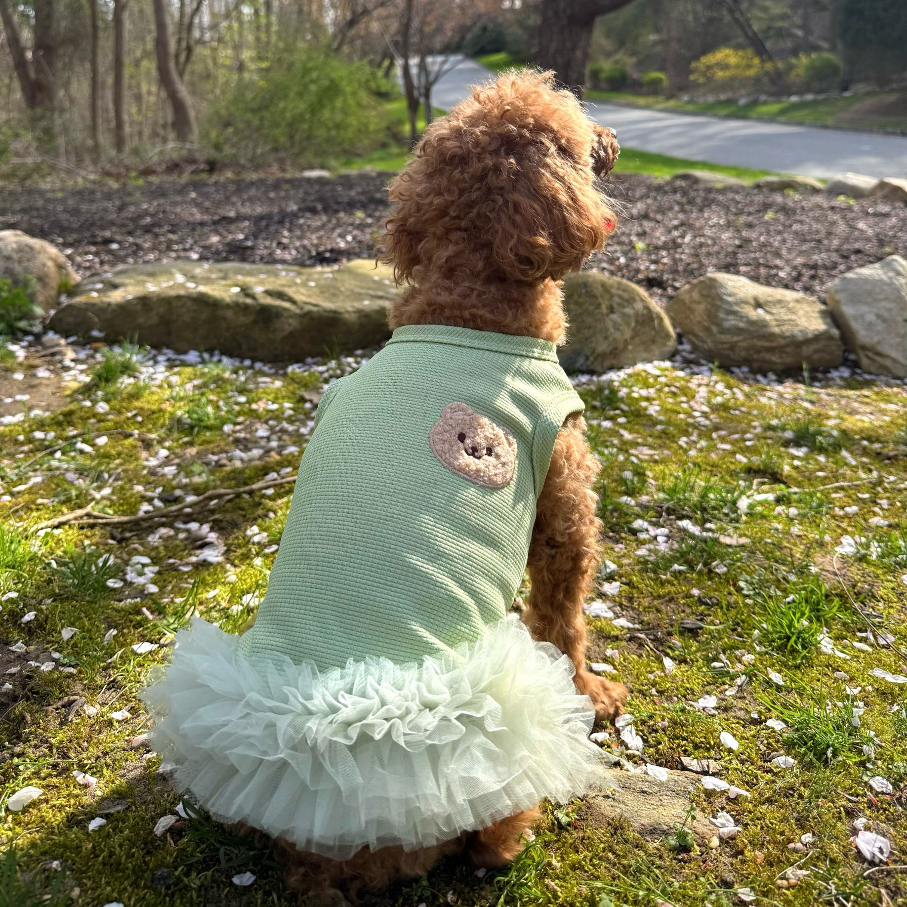 Bear Ruffle Dress
