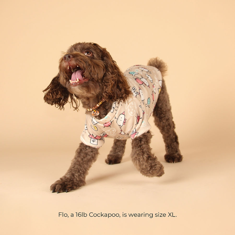 Thumbnail: Paw Pals Crewneck