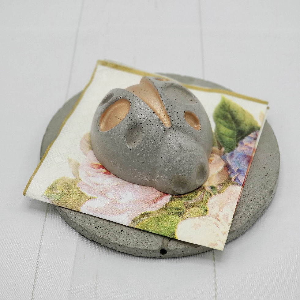 Miniatura: INSECTOS PISAPAPEL