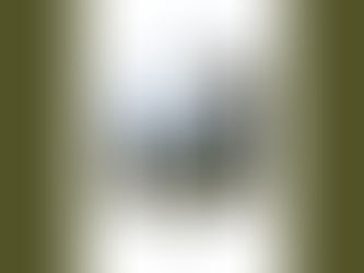 Nick Fletcher:Macedonian Sundance : DOz