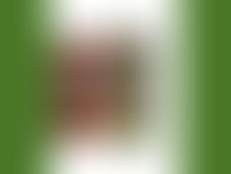 Frederick Maggio : Little Mila : DOz