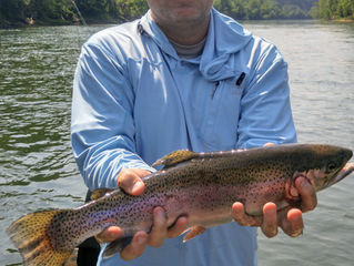 Cumberland River Fishing Report 6-14-18