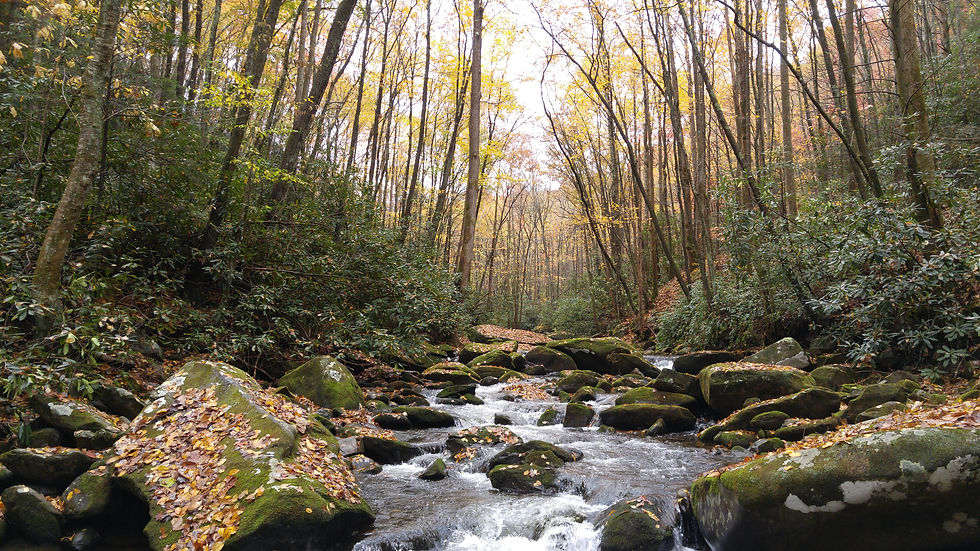 High elevation pocket water
