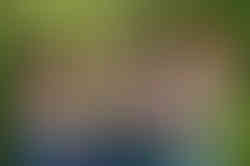glaze-49.jpg
