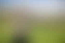 0T9A0359-Edit.jpg