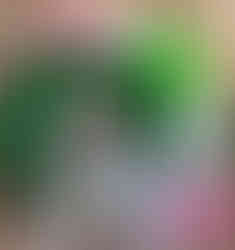 LGP (18 of 105) - Copy.jpg