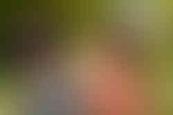 Glaze-3.jpg
