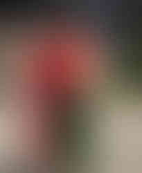 Zaria Grad Photos (4 of 22).jpg