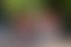 Zaria Grad Photos (1 of 22).jpg