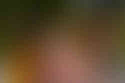 Glaze-8.jpg