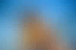 Sharon Rooftop-7.jpg